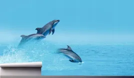 fototapeta-delfiny-skaczace-w-wodzie-ocean-390x280