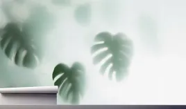 fototapeta-liscie-monstera-palmy-tropiki-390x280