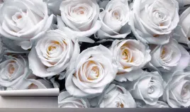 fototapeta-kwiaty-biale-roze-do-salonu-390x280