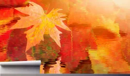 fototapeta-krajobraz-liscie-na-wodzie-370x250