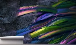 fototapeta-kolorowe-metaliczne-piora-3d-390x280