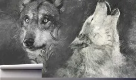 fototapeta-w-szarosci-wilki-zwierzeta-390x280