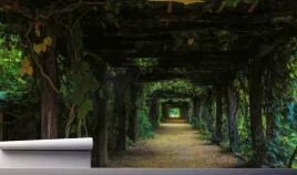 fototapeta-tunel-drzewny-liscie-droga-las-390x280
