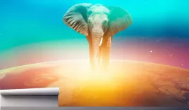 fototapeta-slon-spacerujacy-po-planecie-390x280