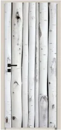 naklejka-samoprzylepna-okleina-fototapeta-na-drzwi-meble-szafy-brzoza