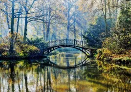 fototapeta-3d-widok-las-we-mgle-most-390x280-fliz