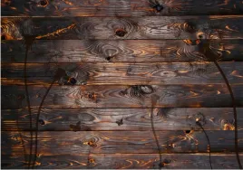fototapeta-fliz-drewno-deska-drzewa-3d-400x280