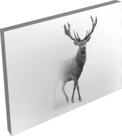 obraz-na-plotnie-zwierzeta-jelen-we-mgle-120x80