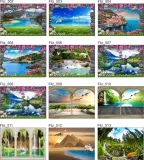 obraz-na-plotnie-widok-las-drzewa-brzozy-120x80-tematyka-motywy-roslinne