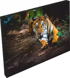 obraz-na-plotnie-tygrys-gepard-jaguar-salon-120x80
