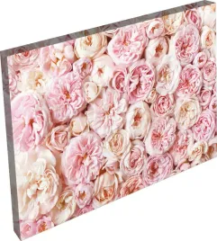 obraz-na-plotnie-do-sypialni-salonu-kwiaty-roze