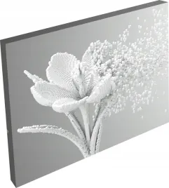 obraz-na-plotnie-dmuchawiec-kwiaty-do-salon-120x80
