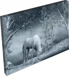 obraz-do-pokoju-salonu-koniki-konie-jednorozec