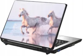 skin-naklejka-naklejki-na-laptopa-skorka-okleina