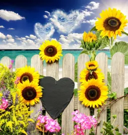 fototapeta-kwiaty-widoki-sloneczniki-morze-ocean