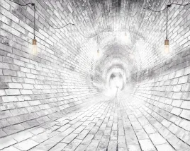 fototapeta-tunel-piwnica-cegly-stary-tynk-395x280