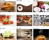 fototapeta-storczyk-ecru-piekne-salon-motyw-dekor-dzieciece-kuchenne-kosmos-litery-i-cytaty-mapy-swiata-miasta-i-architektura-motywy-roslinne-motywy-zwierzece-mur-nowoczesne-orientalne-pejzaze-postacie-sport-tribal-3d-i-perspektywa