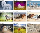fototapeta-rysunek-twarze-postacie-kod-producenta-fototapety-agmart
