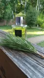 david-beckham-instinct-edt-75ml-flakon-bez-korka-stan-nowy-produkt-wprowadzony-do-obrotu-na-terenie-ue-przed-13-12-2024-tak