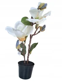 kwiat-magnolia-35-cm-biala-w-doniczce-d864