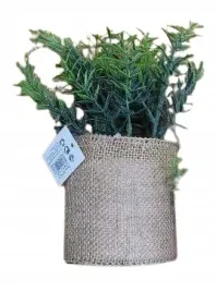 sztuczna-roslinka-zielona-w-doniczce-jutowej-12cm-pa3227