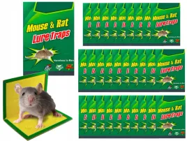 lep-na-myszy-i-szczury-pako-30-szt