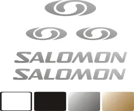 zamiennik-naklejki-salomon-na-kask-narciarski-snowboardowy