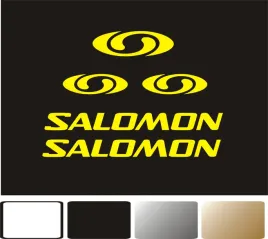 zamiennik-naklejki-salomon-na-kask-narciarski-snowboardowy