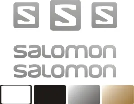 zamiennik-naklejki-salomon-na-kask-narciarski-snowboardowy
