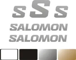 zamiennik-naklejki-salomon-na-kask-narciarski-snowboardowy