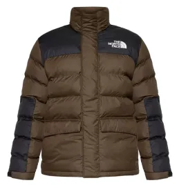 kurtka-zimowa-meska-the-north-face-pikowana-puch-naturalny-bez-kaptura-r-xl