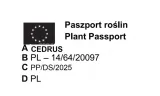 cedr-himalajski-sadzonki-40-60-cm-rodzaj-rosliny-inny-nazwa-lacinska-inna