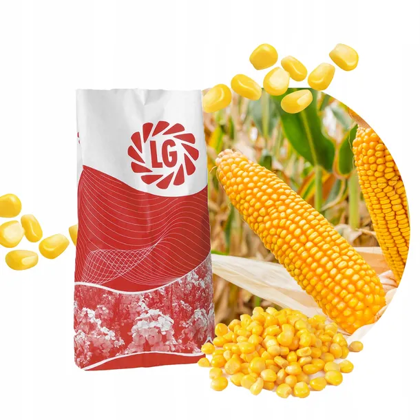 kukurydza-lg-31-300