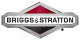 pompa-318207gs-briggs-and-stratton