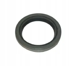 pierscien-uszczelniajacy-walu-294606s