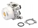 gaznik-799871-briggs-and-stratton-stan-nowy