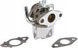 gaznik-593357-briggs-and-stratton