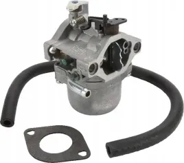 gaznik-590399-briggs-and-stratton