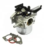 gaznik-796608-briggs-and-stratton