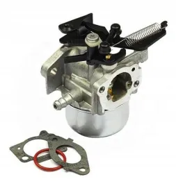 gaznik-796608-briggs-and-stratton