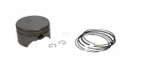 tlok-591284-briggsandstratton