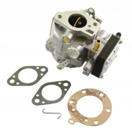 gaznik-693480-briggs-and-stratton