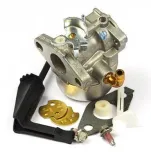 gaznik-798653-briggs-and-stratton