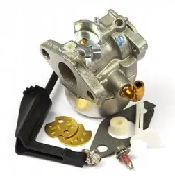 gaznik-798653-briggs-and-stratton