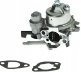 gaznik-595652-briggs-and-stratton-marka-strong