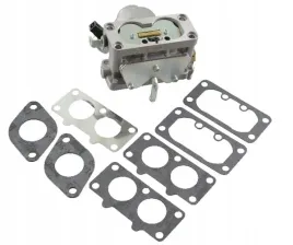 gaznik-791230-briggs-and-stratton