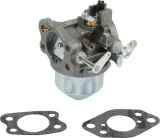 gaznik-847049-briggs-and-stratton