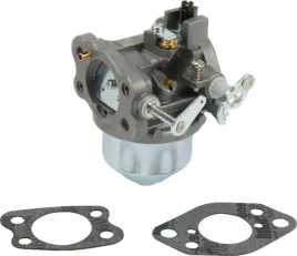 gaznik-847049-briggs-and-stratton