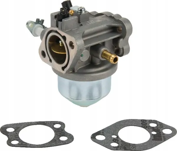 gaznik-847049-briggs-and-stratton