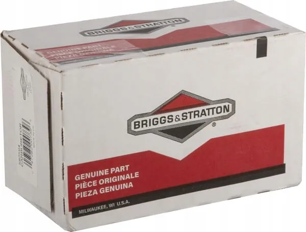 gaznik-592594-briggs-and-stratton